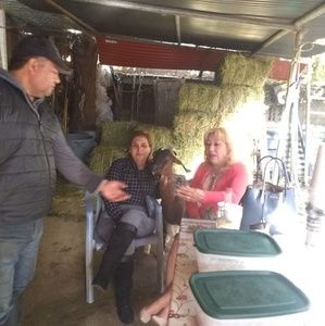 Meet your Posher, Raul